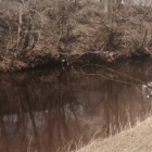 Peter roll casting and not catching the fish