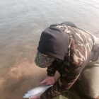 Landed four fish for the morning and dropped three others, on buzzers.