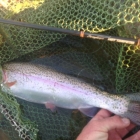Nice fins!