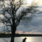 Still no fish..!