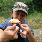 And fish!