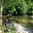 Fishing with Milan on the Kupa