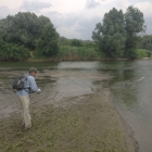 Fishing a major current seam - there are always Asp here