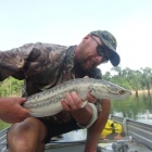 Morning Snakehead taken in the shallows of Snake-Frog island