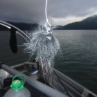 Some black thing that Paul thinks looks like a catfish