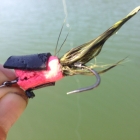Vince's Loud Mouth Popper variation. Great for Snakehead!