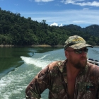 looking, looking, feeding sheep, looking