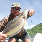 First Toman of the week