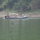 There is unfortunately a hell of a lot of netting on this lake. It would be nice to have a few C&R sanctuaries. One day maybe!