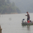 Casting the HT4 for Gourami