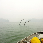 Smog from Indonesian fires