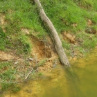 Elephant footprints...