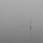 Today my eyes are stinging