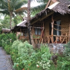 Volcan Eco Resort where we stayed!