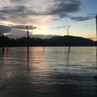 Yesterday evening in Gourami Bay