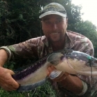 3KG Toman on last knockings