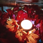 Valentines day. I took my valentine fishing. It was romantic.