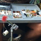 Every Jungle Box needs a fig-fly.