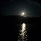 Quite beautiful but I haven't had a decent night's sleep in three days because the moon is so bright!