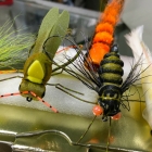 Can't wait for Giant Snakehead and Giant Gourami. Thanks Dron