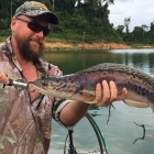 2.5kg giant snakehead!