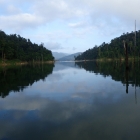 Belum-Temengor rainforest is belived to have been existence for over 130 million years.