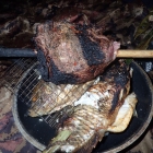 Feast in the jungle....:)