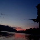 Hunting for jungle perch 