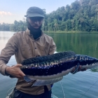 Flavio strike again!