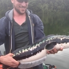 Just another one of these...)