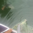 Please come to me...:)