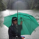 Welcome to the jungle