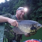 First Gourami after my Indonesian trip