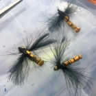 Killer Termites with black CDC wings