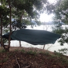 The Lawson Hammock on Millipede Island