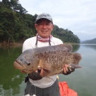 Chuan's second Gourami and second for the day!