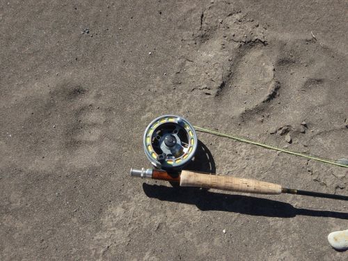 Lamar-Sept. 2010 045-2