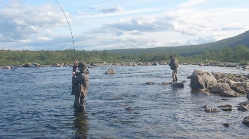 fish horny or fishing horny