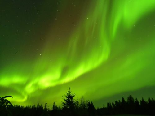 auroraborealis