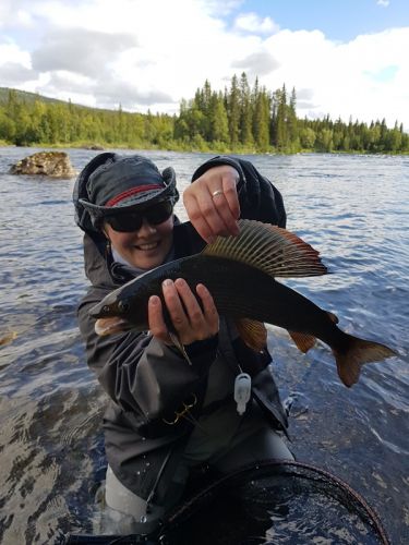 fin of 49 cm grayling