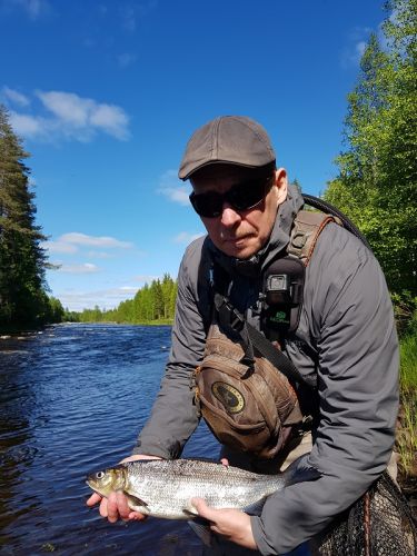 white fish close to 50 cm