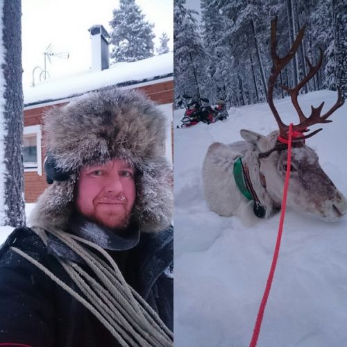 catching reindeer