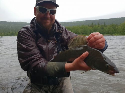 58 cm grayling