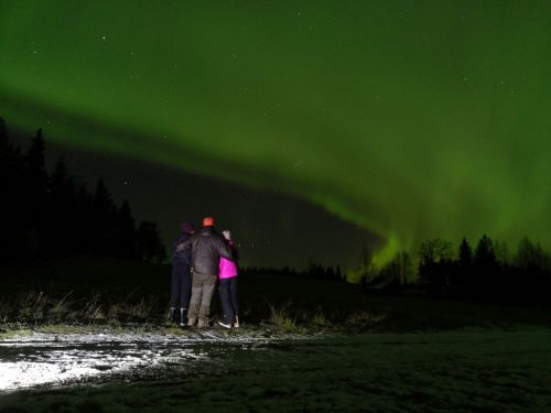 watching lights with kids