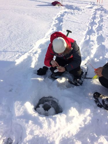 10400563_10156604803185523_5738635319080010159_n