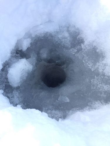 12742069_10156604803285523_223405607844306319_n