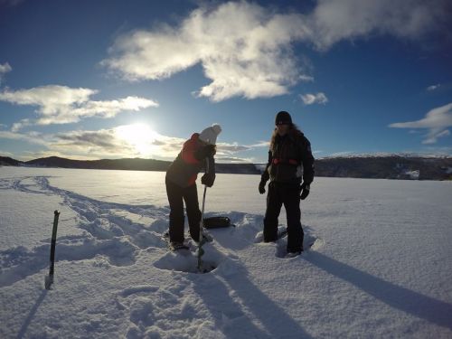 1796605_10156604803695523_1877149458179407799_n