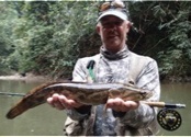 mahseer3