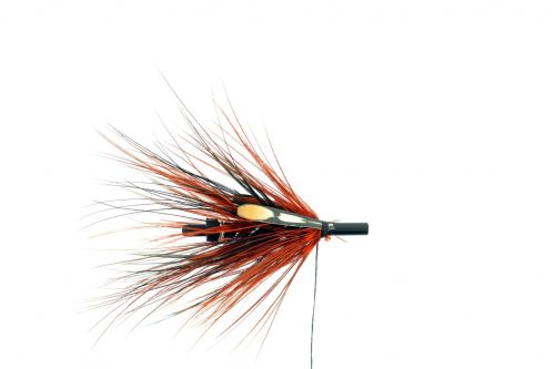 23213358_10155788570171303_6093220578397243673_o