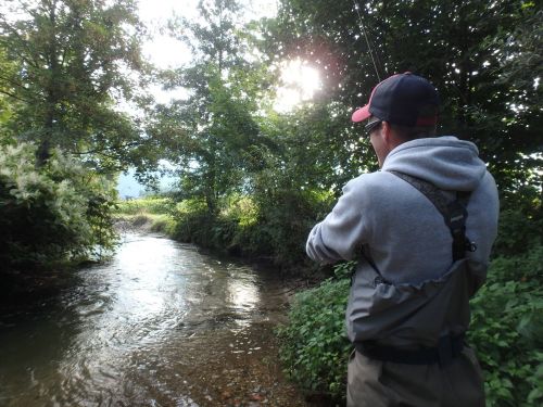 14289810_10154452546551303_8883669390032319854_o